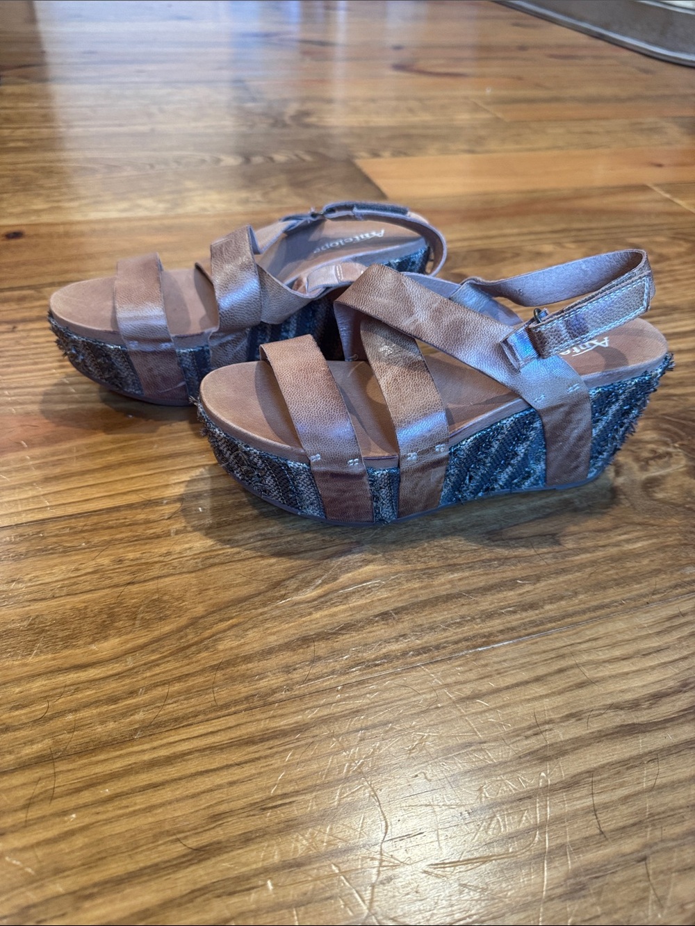Antelope Brown Cross-Strap Wedge Sandals